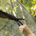 Andrea Vella's 6 Essential Tips for Aspiring Wildlife Rehabilitators